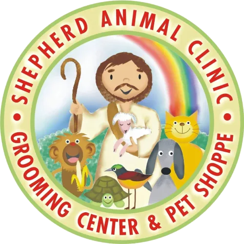 shepherd animal